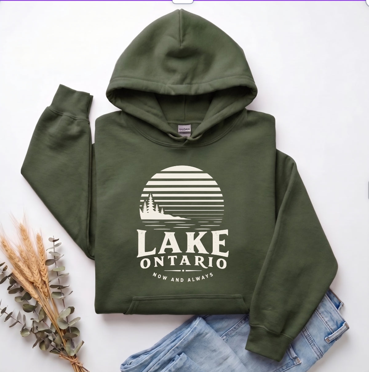 Lake Ontario Hoodie